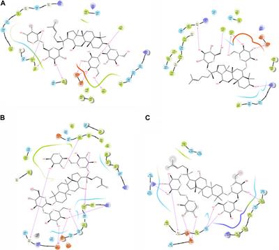 Using CADD tools to inhibit the overexpressed genes FAP, FN1, and MMP1 by repurposing ginsenoside C and Rg1 as a treatment for oral cancer